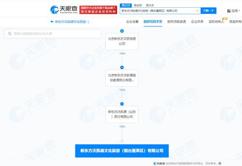 新東方文旅在煙臺成立新公司，聚焦計算機網(wǎng)絡信息及軟件技術開發(fā)